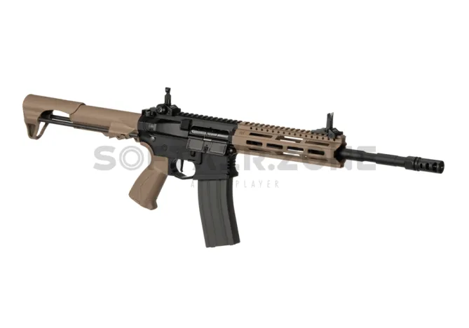 G&G CM16 Raider L 2.0E E.T.U DST AEG 0,5 Joule